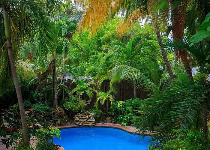 The Palms Oceanfront