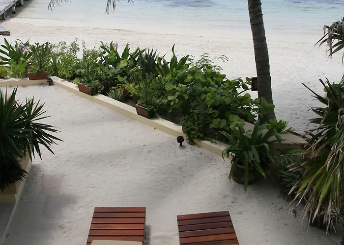 Aparthotel The Palms Oceanfront 3*