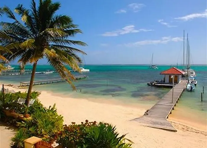 The Palms Oceanfront 3*